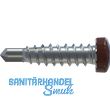 REISSER RP-r-LK-X REFABO Kantteilschraube 4.8x 20 Bimetall A2 - RAL8012