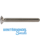 DIN964A M 5X 45 Messing vernickelt Linsenschraube