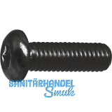 ISO7380-1 M4x10 Edelstahl A4-70-schwarz Linsenschraube mit Innensechskant