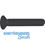 DIN965A 04.8 M 6x 12 TX30 verzinkt-schwarz Senkschraube (�hnl.ISO14581)