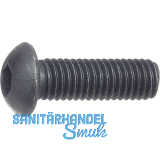 ISO7380-1 010.9 M 5x16 blank Linsenschraube mit Innensechskant