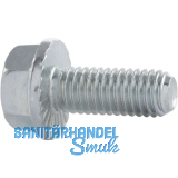 ECO-FIX 4.8 M 6x16 verzinkt Sechskantschraube mit Flansch für den Apparatebau ECO-FIX 4.8 M 6x16 verzinkt Sechskantschraube mit Flansch für den Apparatebau