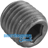 DIN906 5.8 R1/4" blank Verschlussschraube kegeliges Rohrgewinde mit ISK