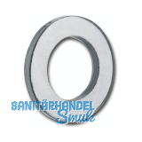 DIN1440 Dm 20 verzinkt Scheibe