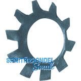 DIN6797V M 6 Zahnscheibe versenkt, verzinkt