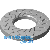 TECKENTRUP Sperrkantscheibe NSK-L - M 8 - Stahl Zinklamelle