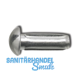 DIN1476 3x10 verzinkt Halbrundkerbnagel