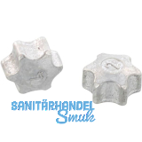 Einschlagstern f�r Innensechsrundantrieb TX30