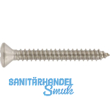 ISO14587 3.9x 16 Torx Edelstahl A2 Linsensenkkopf-Blechschraube