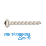 ISO14585 4.8x 25 Torx25 Edelstahl A2 Linsen-Blechschraube ~DIN7981C