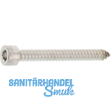 Blechschraube 6.3x 40 Edelstahl A2 mit Zylinderkopf ~912