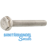 EN1665 M 8x 25 Edelstahl A2 Sechskantschraube mit Flansch (DIN6921) EN1665 M 8x 25 Edelstahl A2 Sechskantschraube mit Flansch (DIN6921)