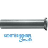 H�lsenmutter Linsenkopf mit Schlitz M4 x 25 Messing vernickelt