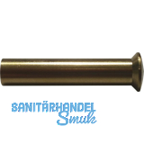 H�lsenmutter Linsenkopf mit Schlitz M4 x 25 Messing blank