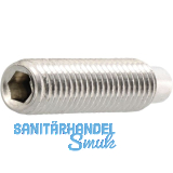 ISO4028 M 6x 12 Edelstahl A2 Gewindestift mit Zapfen Innensechskant (DIN915)