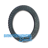 SCHNORR Sicherungsscheibe "S" M20 Federstahl blank