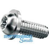 DELTA PT-Schraube Linsenkopf 5x 12 TX25 Stahl verzinkt-blau