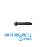 DIN564 M 6x 12 blank Sechskantschraube mit Ansatzspitze