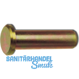 DIN1444 B18H11x65 Bolzen mit Kopf und Splintloch verzinkt