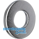 Sonderscheibe verzinkt 6.5x30x2 100HV