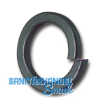 DIN7980 M10 blank Federring f�r Zylinderschrauben