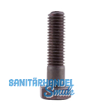 GRAULE Schraube M 10x30 mm links zu ZS 135