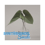 SOLIDO Glasmuster BlackShine 100x150 mm