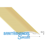 K�GELE Hohlflachprofil Alu sand eloxiert, selbstklebend, 30/1000 mm