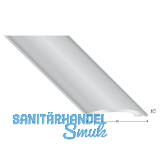 K�GELE Abdeckprofil Edelstahl, selbstklebend, Breite 40mm, 2700mm