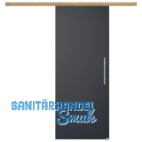 Glasschiebet�r Set BlackDark, 820x2100mm, Inlay CPL Risseiche, Sto�griff silber